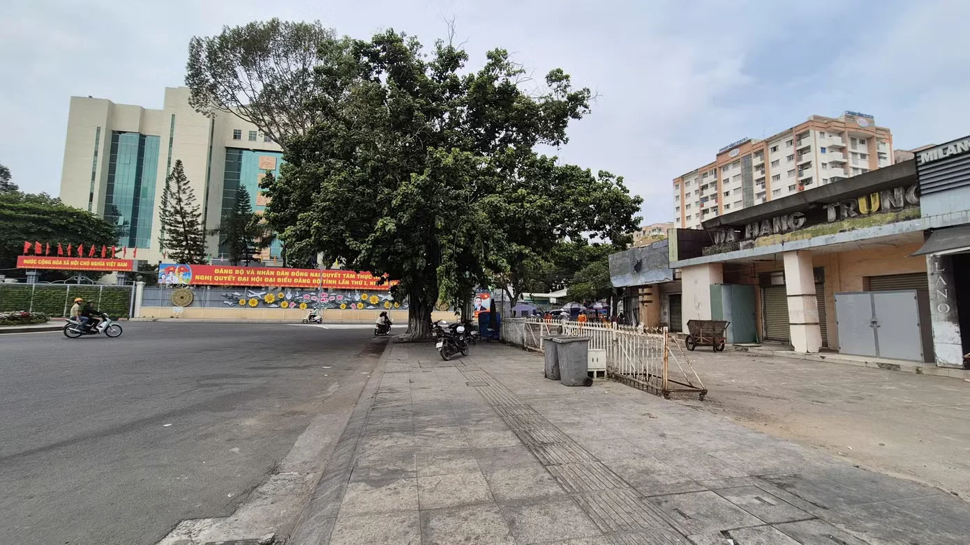 Cận cảnh nhiều trụ sở bỏ hoang, cỏ mọc um tùm... ở Đồng Nai- Ảnh 22.