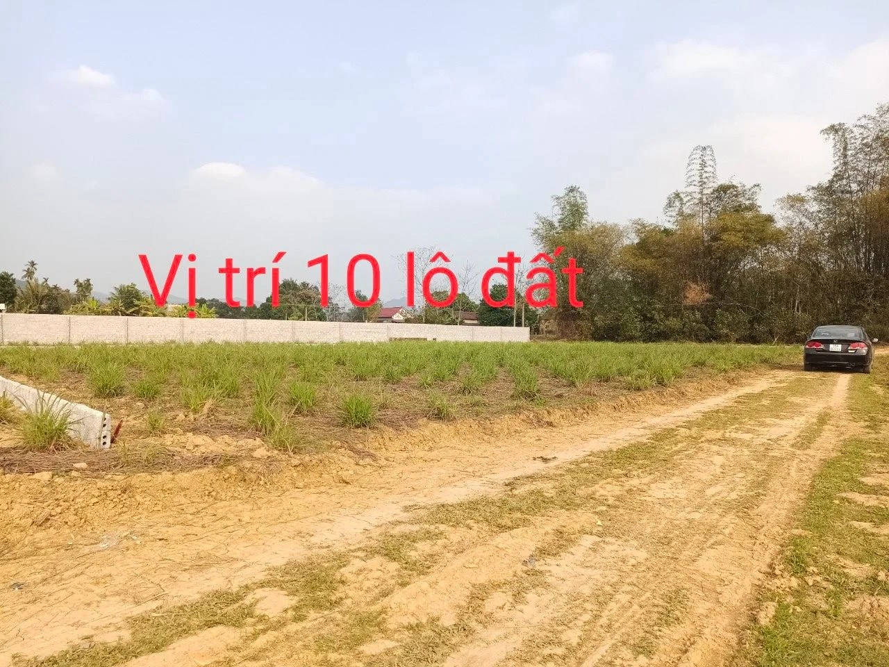 Môi giới rao bán đất nền cạnh tranh với Shark Thuỷ: Chỉ 120 triệu đồng/lô, sổ đỏ đầy đủ, rẻ hơn 1/3 giá của Shark Thuỷ